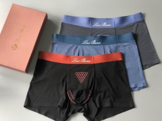 Loro Piana boxer L-4XL 11 (5)_2824570