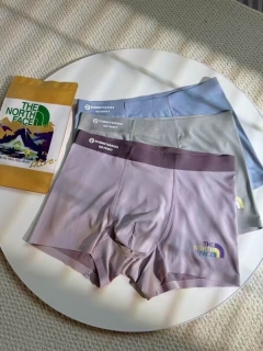 The North Face boxer 15 (1)_2824581