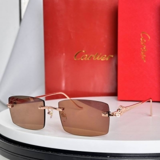 Cartier CT0552S 55 20-135 e03_2987438