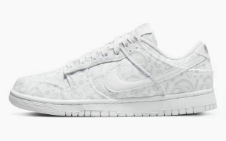 Perfect Nike Dunk Low Men's Shoes YD -1726