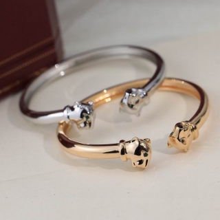 Cartier bracelet 05yxh07 (1)_3088796