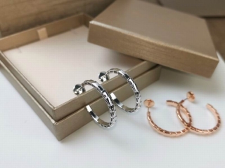 Bvlgari earring 05yxh05 (1)_3091039