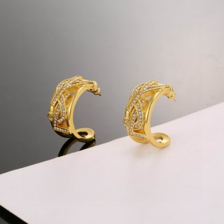 YSL Earring 05yxh14 (1)_3055336