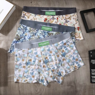 DG boxer L-3XL 07 (6)_3297675
