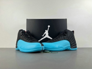 Perfect Air Jordan 12 