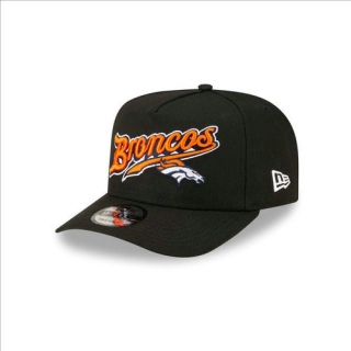 NFL Adjustable Hat TX  - 02038