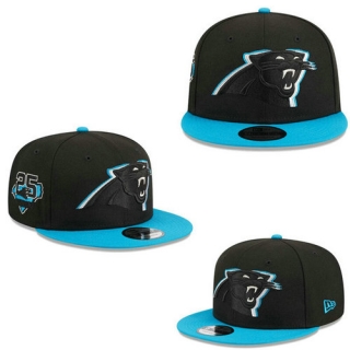 NFL Carolina Panther Adjustable Hat TX -  01400