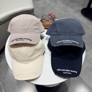 Alxander Wang cap (1208)_4175547
