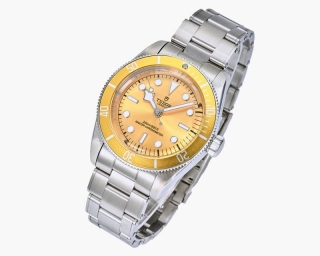 Tudor 41mm 95 (23)_4179587