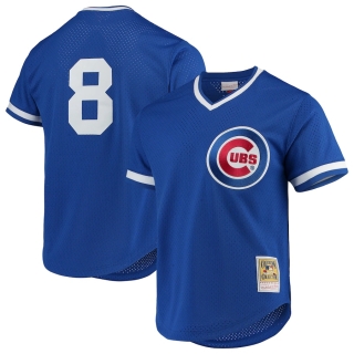 Men's Chicago Cubs Andre Dawson Mitchell & Ness Royal Cooperstown Collection Mesh Batting Practice Jersey