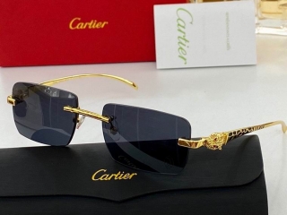 Cartier Glasses  (30)_5301044