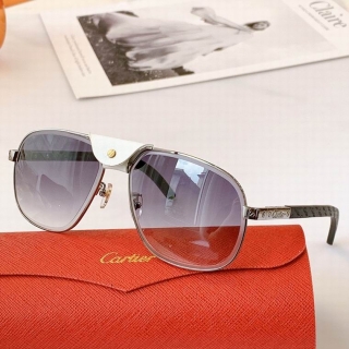 Cartier Glasses  (66)_5301075