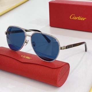 Cartier Glasses  (103)_5301112