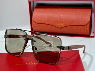 Cartier Glasses  (676)_5301641
