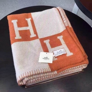 Hermes Blanket  (11)_5396483