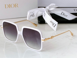 Dior Glasses (238)_5566023
