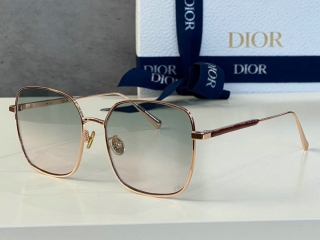 Dior Glasses (283)_5566035