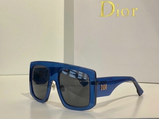 Dior Glasses (430)_5566060