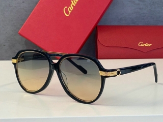 Cartier Glasses (465)_5598848