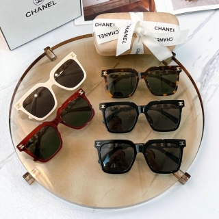 Chanel Glasses (564)_5598636