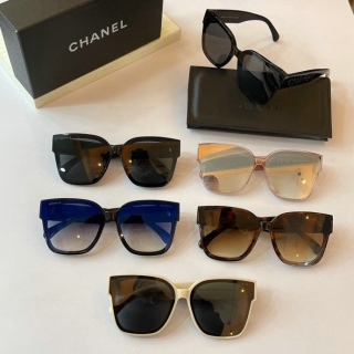 Chanel Glasses (1146)_5598700