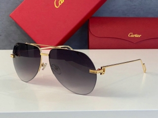Cartier Glasses  (3)_315897
