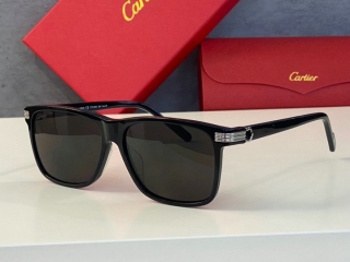 Cartier Glasses  (7)_315913