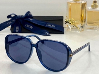 Dior Glasses  (40)_562305