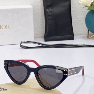 Dior Glasses  (88)_562327