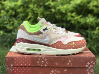 Authentic Nike Air Max 1 Women Shoes