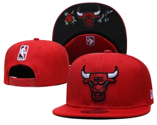NBA Chicago Bulls Adjustable Hat YS - 1619