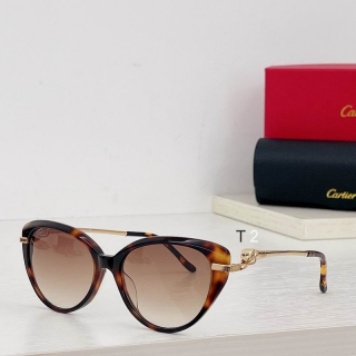 Cartier ct0030 Glasses a02_1009227 - 副本