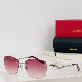 Cartier ct0120 Glasses a01_1009231 - 副本