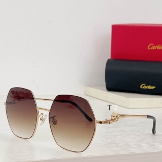 Cartier ct0261 Glasses a02_1009232 - 副本