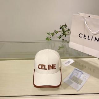 Celine cap 11 (6)_1429738