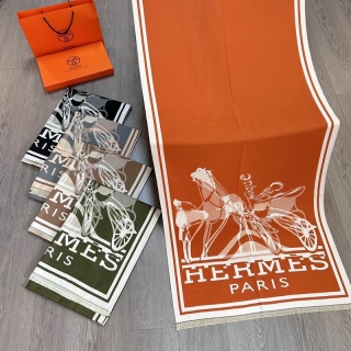 Hermes scarf E01 (3)_1428180