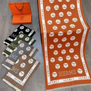 Hermes scarf E20 (2)_1428228