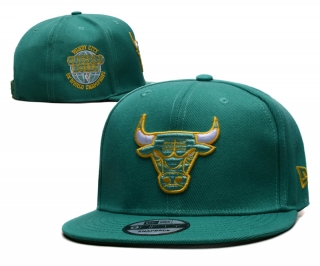 NBA Chicago Bulls Adjustable Hat TX - 1721