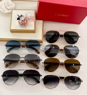 Cartier Glasses (57)_1588507