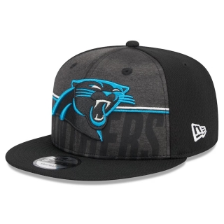 NFL Carolina Panther Adjustable Hat TX  - 1804
