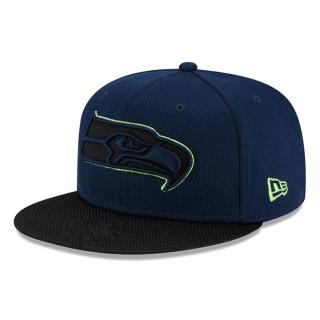 NFL Seattle Seahawks Adjustable Hat TX  - 1900