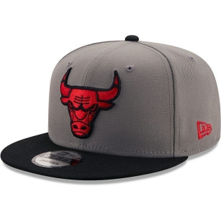 NBA Chicago Bulls Adjustable Hat TX  - 1870