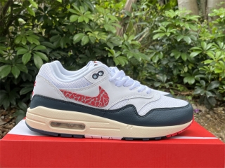 Authentic Nike Air Max 1 Women's Shoes