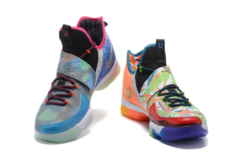 lebron 14 multicolor