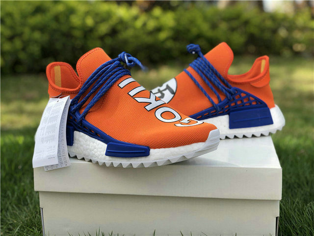 human race goku